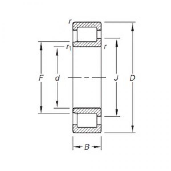 17 mm x 40 mm x 12 mm  Timken NJ203E.TVP Rolamentos cilíndricos #1 image