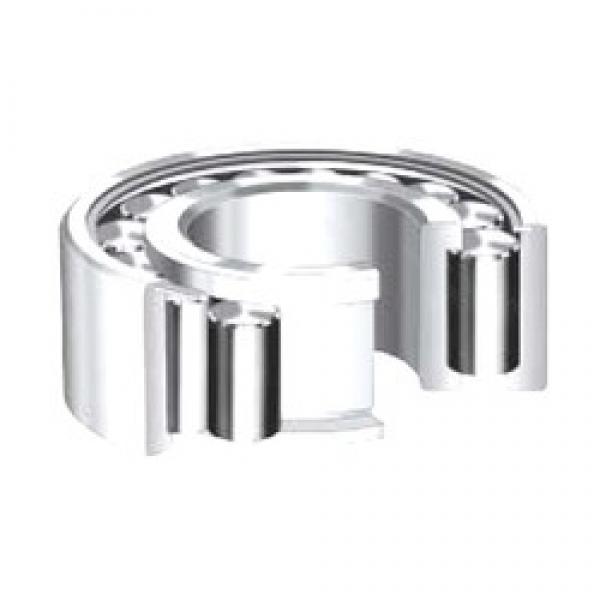 380 mm x 480 mm x 46 mm  Timken NCF1876V Rolamentos cilíndricos #1 image