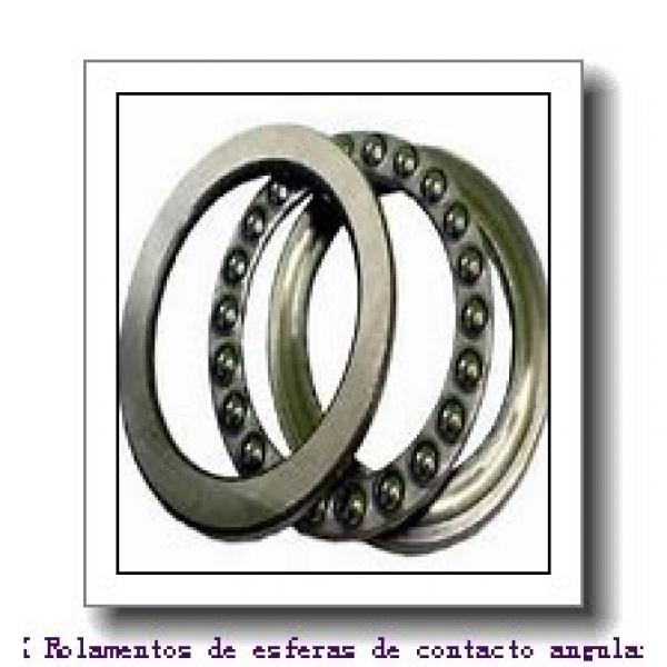 10 mm x 30 mm x 9 mm  NSK 10BGR02X Rolamentos de esferas de contacto angular #1 image